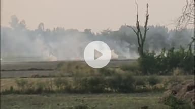 मथुरा: अगर किसानों ने जलाई पराली, तो लगाया जाएगा अर्थ दंड