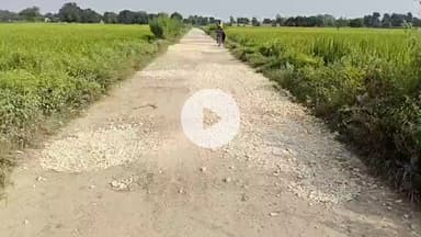 करछना: नीबी गांव में वर्षों से बदहाली का दंस झेल रहा मार्ग का नहीं किया गया मरम्मत कार्य  #Jansamasya