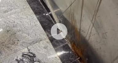 पटना ग्रामीण: पटना मेट्रो के उद्घाटन के बाद गुटखे की पीक वाली तस्वीर आई सामने, रील बनाने का अड्डा बना