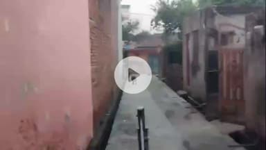 नौगावां सादात: नौगांवा तहसील क्षेत्र में बंदरों का आतंक, आसपास के लोग परेशान, वीडियो हुआ वायरल