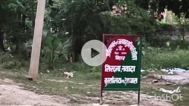 सिरदला: वन विभाग के कार्यालय के आगे सड़क पर लटक रहा  पेड़, कभी भी हो सकती है बड़ी दुर्घटना। #jansamasya #forest