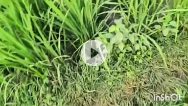 मुंगेर: #आगामी_विधानसभा_चुनाव_2025 के दृष्टिगत विधि-व्यवस्था संधारण एवं सुरक्षा व्यवस्था को सुदृढ़ करने के उद्देश्य से