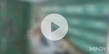 फतुहा: फतुहा पुलिस ने शिवचक गांव के पास महतमाईन नदी से जकनपुर के लापता युवक का शव बरामद किया