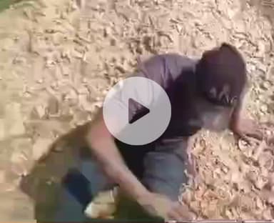 करछना: पनासा गांव स्थित टोंस नदी पर बने पुल के पास मार्ग पर गिट्टी बिखरे होने के कारण बाइक सवार युवक फिसलकर गड्ढे में गिरा