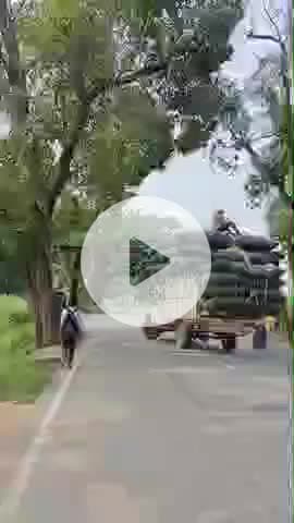 करछना: भरहा गांव के सामने करछना पचदेवरा मार्ग पर टोल प्लाजा संचालक द्वारा हाइट गेज लगाए जाने से लोगों को हो रही परेशानी