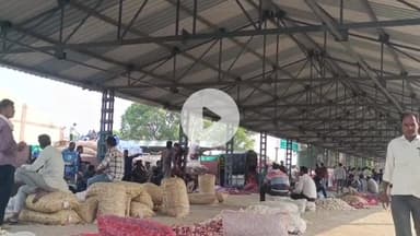 कालापीपल: कालापीपल मंडी में प्याज के भाव गिरे, लहसुन के भाव में ₹400 प्रति क्विंटल की तेजी