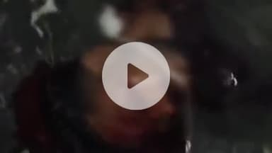 कप्तानगंज: कसया में दर्दनाक सड़क हादसा: बाइक पेड़ से टकराई, युवक की मौके पर मौत, पुलिस पोस्टमार्टम की कार्रवाई में जुटी