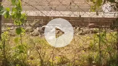 खुरई: कुशभाऊ ठाकरे वार्ड में चोरों ने खेत से सिंचाई मोटर पंप की ₹40 हजार की केबल चुराई