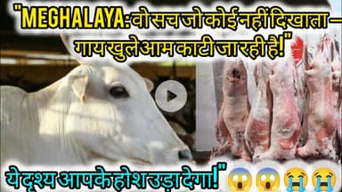 Meghalaya की हकीकत: गाय खुलेआम काटी और बेची जा रही है!"#Meghalaya #LivestockTrade