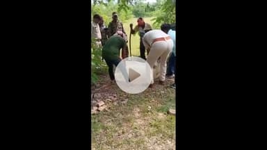 नबीनगर: सैलया कर्मा धिरसिंडी पहाड़ी में शराब भट्ठियों को किया ध्वस्त, 4000 लीटर जावा महुआ किया विनष्ट