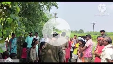 समुद्रपूर: मेनखात येथे बिबट्याचा उच्छाद: घरासमोरून उचलला कुत्रा:गावकऱ्यांमध्ये भीतीचे वातावरण