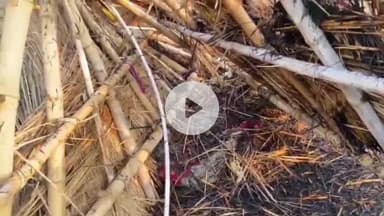 बदलापुर: मछलीगांव में विद्युत तार गिरने से छप्पर सहित घर गृहस्थी और नकदी जलकर राख