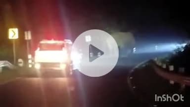 ब्यौहारी: समधिन नदी के पास सड़क पर खड़ा रहा हाथी, वीडियो आया सामने