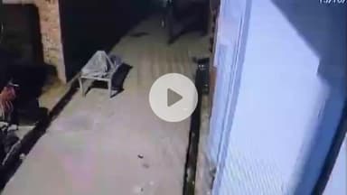 धनौरा: गजरौला में चोरों के हौसले बुलंद, घर के अंदर बंद पशु की चोरी हुई, घटना सीसीटीवी कैमरे में कैद