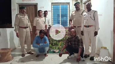 सरदारपुर: सरदारपुर में वन विभाग ने जंगली तोतों की तस्करी करते अंतरराज्यीय गिरोह के 5 लोगों को पकड़ा
