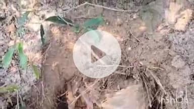 चकाई: चिहरा में पुलिया के नीचे से दो कंटेनर बम बरामद, सुरक्षाबलों की बड़ी सफलता