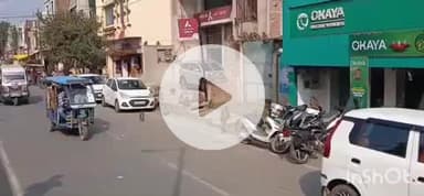 औरैया: दिबियापुर रोड पर एसबीआई बैंक के समीप बंदरों का उत्पात, झुंड में लड़ाई से मचा हड़कंप, वीडियो सोशल मीडिया पर वायरल