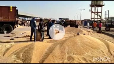 सरदारपुर: राजगढ़ मंडी में सोयाबीन की बंपर आवक, उच्चतम भाव ₹4900 प्रति क्विंटल रहा