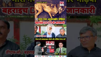 भेड़िया के आतंक का अंत बहराइच में आदमखोर भेड़िया मारा गया | #bhediya #shorts #viral #up