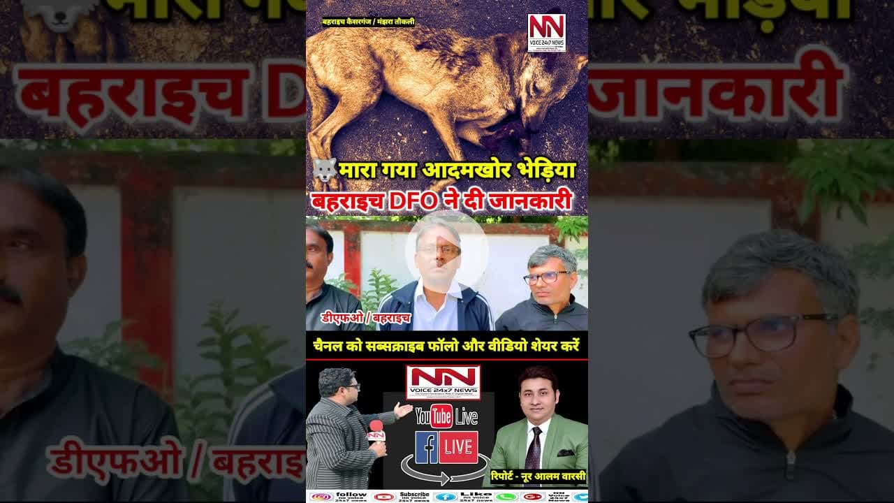 भेड़िया के आतंक का अंत बहराइच में आदमखोर भेड़िया मारा गया | #bhediya #shorts #viral #up