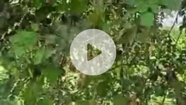 फतेहाबाद: फतेहाबाद थाना क्षेत्र के ग्राम नयापुरा खंडेर में जमीनी विवाद को लेकर दो पक्षों में संघर्ष, भारी पुलिस बल तैनात