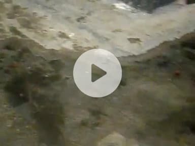 नरेला पॉकेट 5 सेक्टर A/6 सिवक की सफाई के लोगों का बुरा हाल सीवर का पानी लोगों के घरों के आगे हुआ जाम