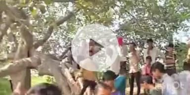 देसूरी: सादड़ी के बिलिया तालाब में मिला लापता युवक का शव, तीन दिन से गायब था, क्षत-विक्षत हालत में मिला, जांच जारी