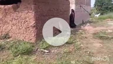 ब्यौहारी: ब्यौहारी क्षेत्र में जंगली हाथियों ने तोड़ा घर, जान बचाकर भागे लोग