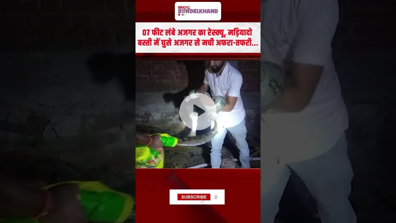 7 फीट लंबे अजगर का रेस्क्यू, मड़ियादो बस्ती में घुसे अजगर से मची अफरा-तफरी | #python #rescue #mpnews
