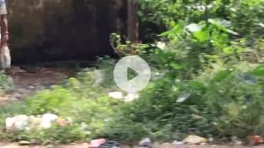 बेरो: ब्लॉक परिसर बेड़ो का सुलभ शौचालय उपेक्षा का शिकार