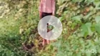 ब्यौहारी: ब्यौहारी थाना क्षेत्र के जमोड़ी गांव में युवक ने पेड़ से फांसी लगाकर आत्महत्या की