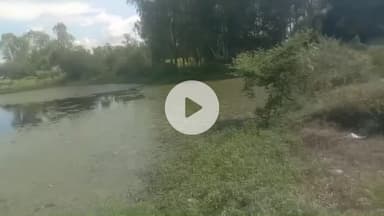 कलान: अल्लाहगंज क्षेत्र के गांव इमलिया में सरकारी तालाब पर दबंग का कब्जा, पट्टा धारक को नहीं मिल रहा कब्जा