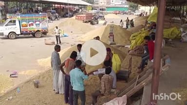 सरदारपुर: दीपावली से पहले राजगढ़ मंडी में सोयाबीन की बेहतर आवक, उच्चतम भाव ₹5125 प्रति क्विंटल रहा, 6 दिन रहेगा अवकाश