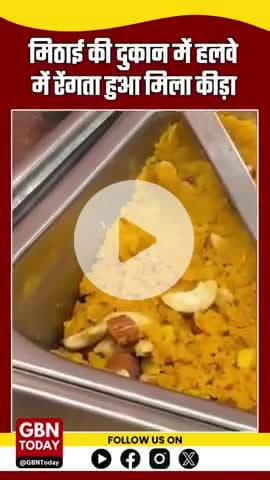 गरम हलवे में कीड़ा घूमता वीडियो हुआ वायरल। #gbntoday #DiwaliAlert #FoodSafety #FakeSweets #StaySafe #viralvideo