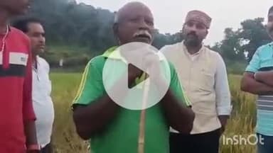 ब्यौहारी: ब्यौहारी क्षेत्र में जंगली हाथियों का तांडव, जिला पंचायत सदस्य पुष्पेंद्र सिंह पटेल पहुंचे लोगों के पास