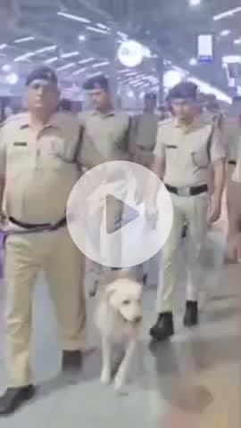 कानपुर: कानपुर रेलवे सेंट्रल पर रेलवे सुरक्षा बल ने चलाया विशेष चेकिंग अभियान, यात्रियों से की सावधानी बरतने की अपील