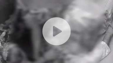 कानपुर: कचहरी परिसर में छठी मंजिल से कूदकर महिला ने की आत्महत्या, पैरवी को लेकर लंबे समय से थी परेशान