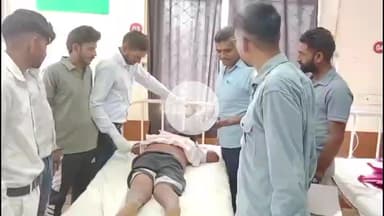 चूरू: गांव घंटेल के खेत में पिता-पुत्र पर मधुमक्खियों के झुंड ने किया हमला, घायलों का अस्पताल में इलाज जारी