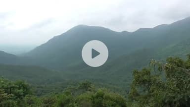 ஜமுனாமரத்தூர்: ஜமுனாமுத்தூர் பீமன் நீர்வீழ்ச்சியில் ஆர்ப்பரித்து கொட்டும் நீர் கழுகு பார்வை காட்சி