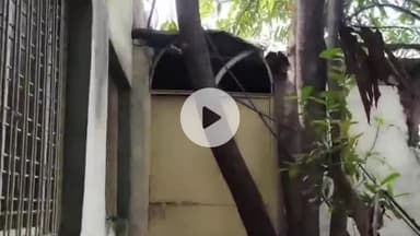 बीना: नई सब्जी मंडी स्थित धार्मिक स्थल में देर रात चोरी का प्रयास, घटना सीसीटीवी कैमरे में कैद