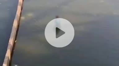 लाडपुरा: गुमानपुरा इलाके में आत्महत्या के इरादे से महिला ने नहर में लगाई छलांग, पानी कम होने से बची जान