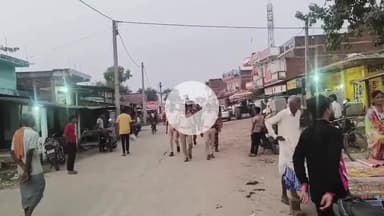 नबीनगर: माली थाना क्षेत्र में विधानसभा चुनाव को लेकर माली थाना पुलिस ने किया फ्लैग मार्च, शांति और सुरक्षा का दिया संदेश