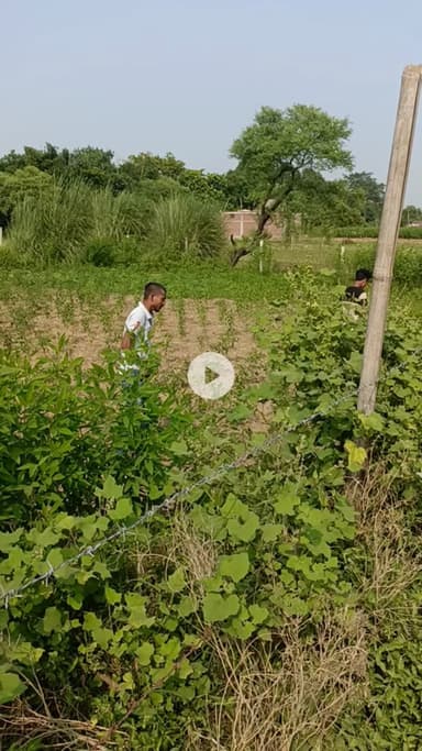 #diwalispecial #part2 #काम #बिगाड़ #दिया #comedy #funny #trending #viral #fun #entertainment #funnyvideos #memes #follw