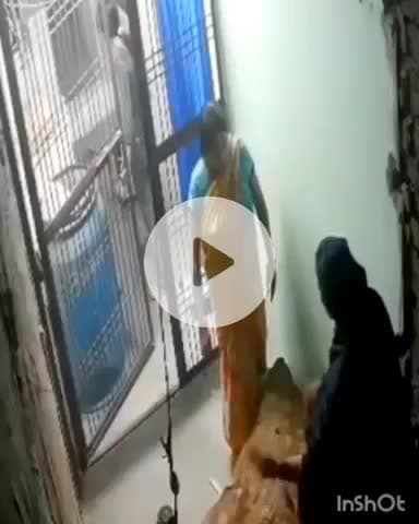 देेेवरिया: देवरिया शहर के खरजरवा मोहल्ले में महिला को घसीटकर पीटा, वीडियो हुआ वायरल, महिला ने लगाया चेन छीनने का आरोप