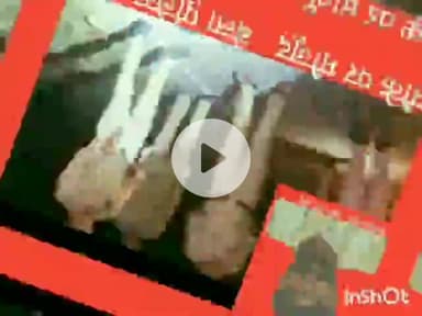 *अज्ञात वाहन की टक्कर से रिश्तेदारी में रह रहे 30 वर्षीय युवक की मौत*