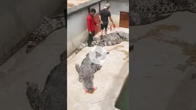 #But #shorts #viralnews #viralreels #trending #letest #trending #trendingshorts