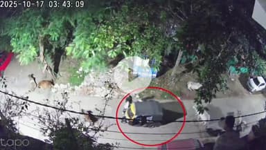 सागर नगर: गोपालगंज: एकता कॉलोनी में बछड़ा चुराने का प्रयास, सीसीटीवी में कैद