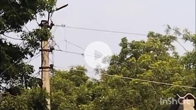 हरदोई: पाटकुआं गांव में जर्जर विद्युत लाइन से ग्रामीण परेशान, बोले- पुरानी जर्जर लाइन से हर दिन खतरा बना रहता है