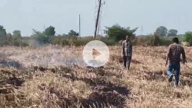 बीना: खुरई रोड पर गैस सिलेंडर गोदाम के पास पराली में लगी आग, मची अफरा-तफरी, मौके पर पहुंची फायर ब्रिगेड