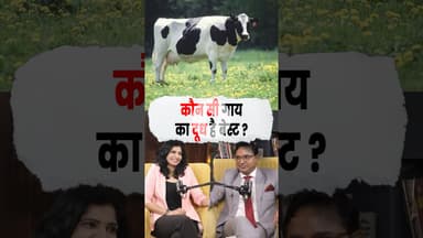कौन सी गाय का दूध है Best #cowmilk #cow #nutrition #felix